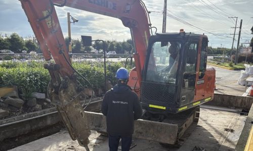 La experiencia se transforma en empresa